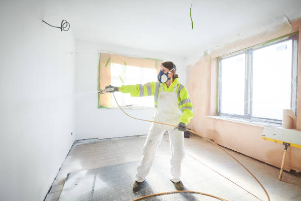 Best Crawl Space Mold Remediation  in Snowflake, AZ