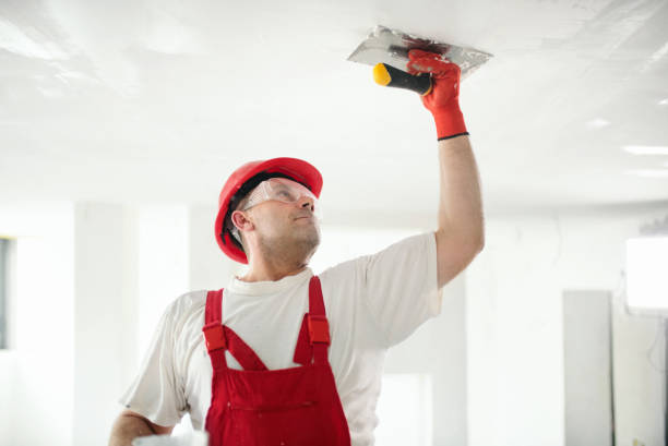 Best Attic Mold Removal  in Snowflake, AZ