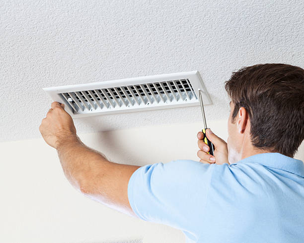 Mold Remediation for Vacation Homes in Snowflake, AZ