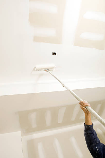 Best Real Estate Mold Inspection  in Snowflake, AZ