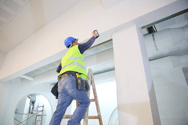 Best Mold Removal for HVAC Installations  in Snowflake, AZ