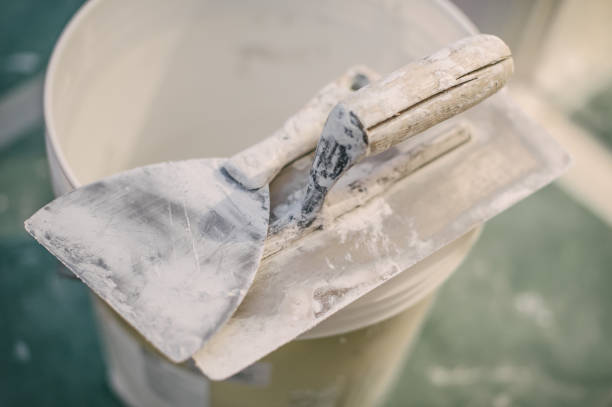 Best Mold Odor Removal Services  in Snowflake, AZ