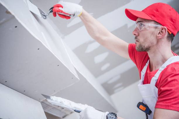 Best Asbestos and Lead Testing During Mold Inspection  in Snowflake, AZ