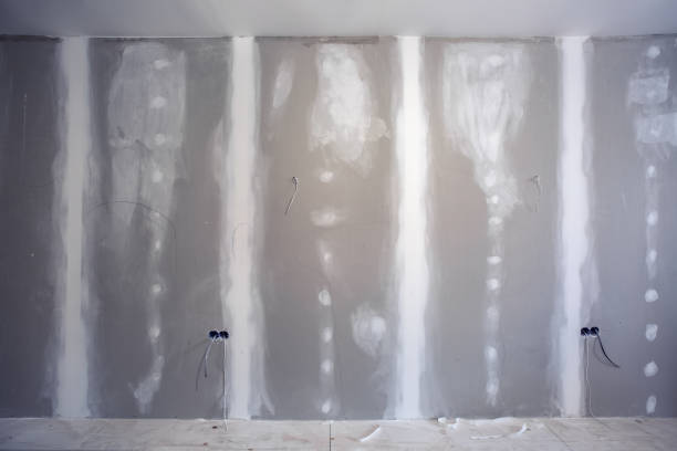 Best Basement Mold Removal  in Snowflake, AZ